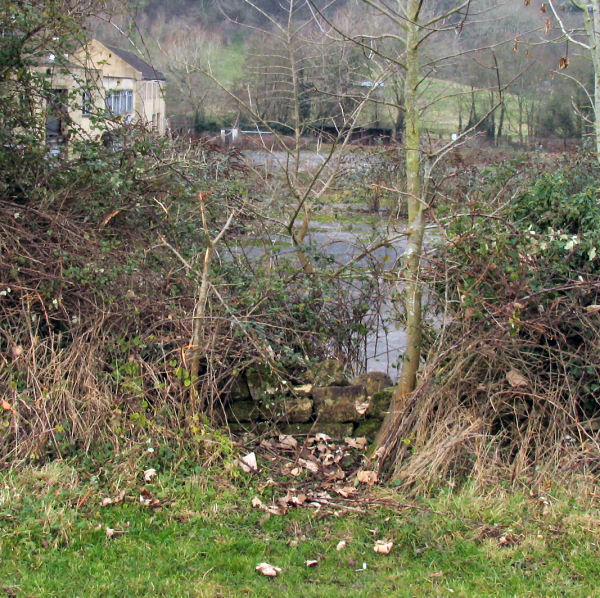hole in the fencing adjoining field with public right of access: Freshford Mill