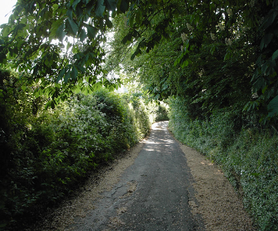 Mill Lane near Freshford Mill Somerset